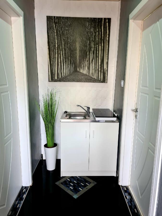 Airport Luxury Apartman 42 Vecsés Buitenkant foto
