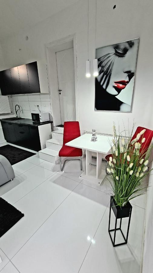 Airport Luxury Apartman 42 Vecsés Buitenkant foto