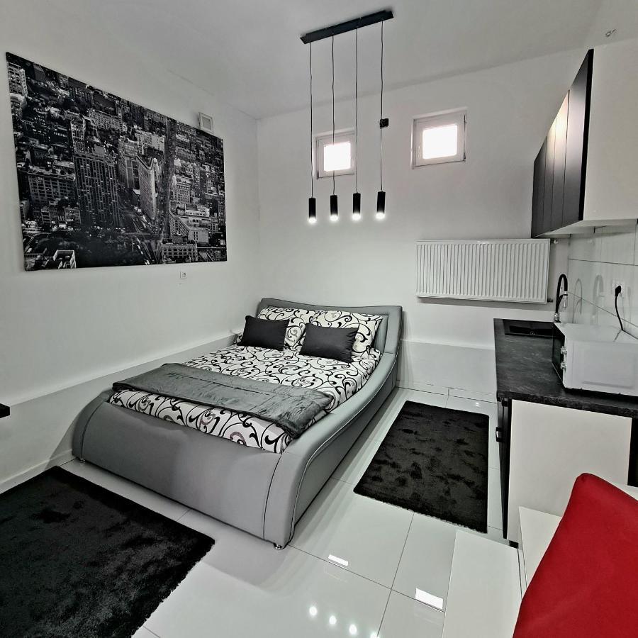 Airport Luxury Apartman 42 Vecsés Buitenkant foto