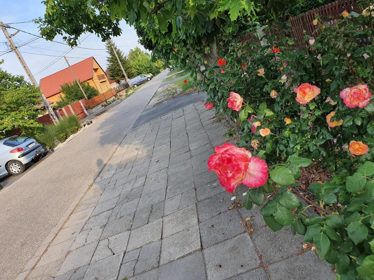 Airport Luxury Apartman 42 Vecsés Buitenkant foto